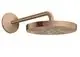 AXOR-HG-AXOR-One-Kopfbrause-280-1jet-mit-Brausearm-Brushed-Red-Gold-48491310 gallery number 1